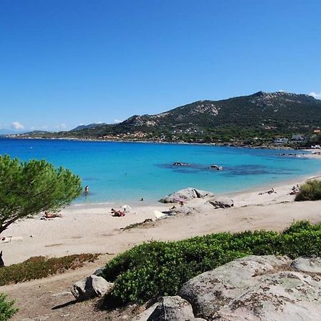 L'Orangeraie Calvi Centre A 300M De La Plage Et Du Port Parking Prive Eksteriør bilde