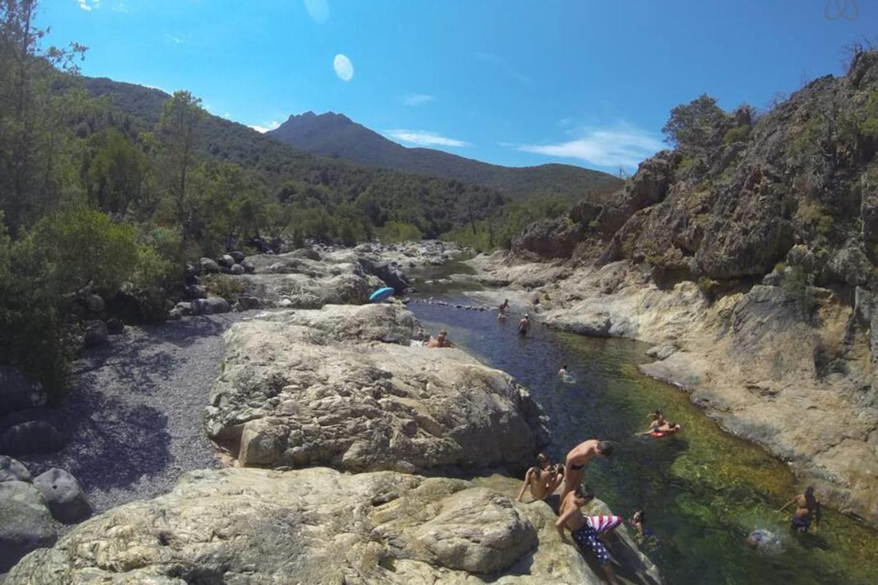 L'Orangeraie Calvi Centre A 300M De La Plage Et Du Port Parking Prive Eksteriør bilde