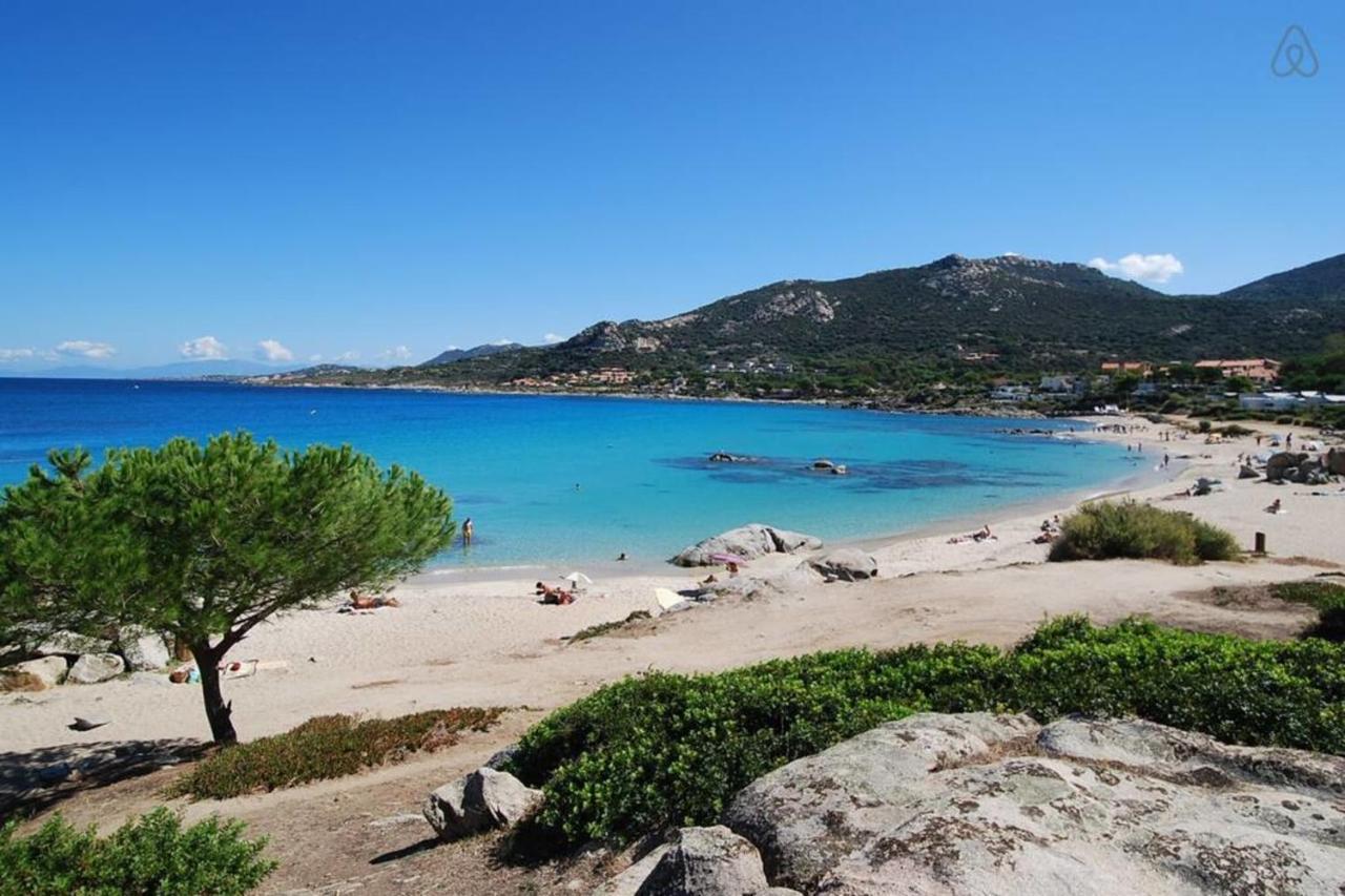L'Orangeraie Calvi Centre A 300M De La Plage Et Du Port Parking Prive Eksteriør bilde